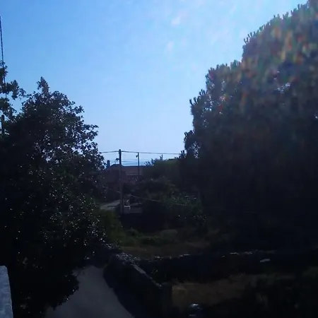 Midi Petrcane