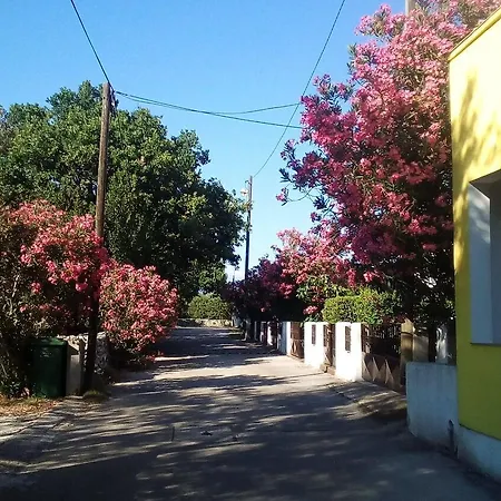 Midi