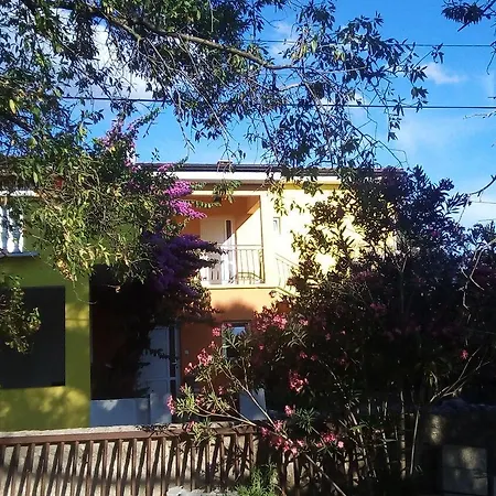 Midi Apartment