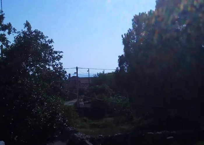 Midi 돈제페트레케인