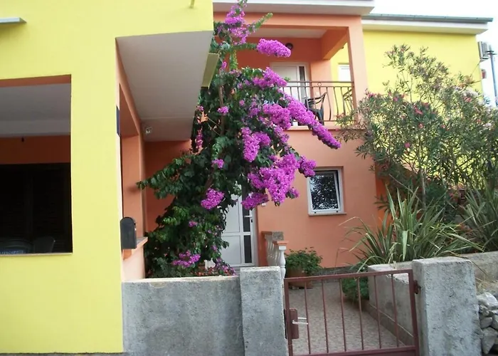 Midi * 돈제페트레케인