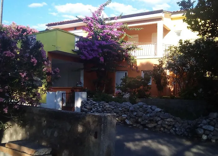 Midi 돈제페트레케인