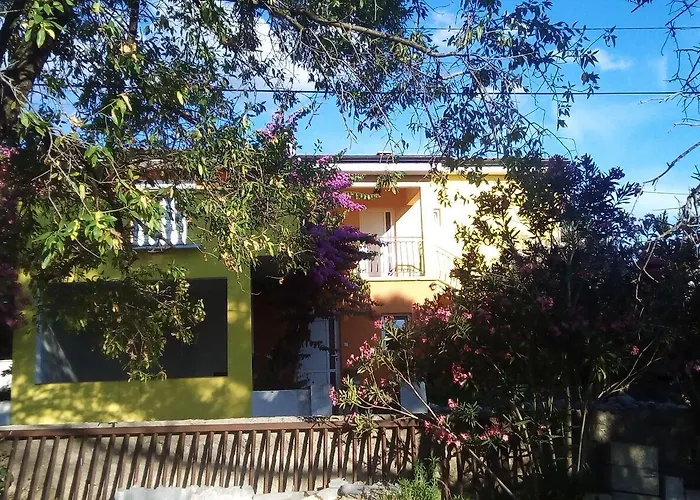 Midi * 돈제페트레케인